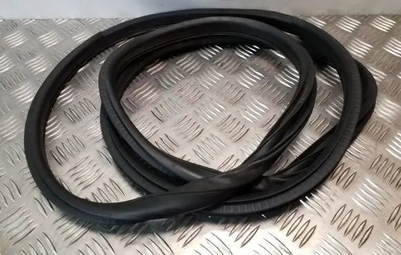 Nissan Juke I F15 Rubber seal rear door 
