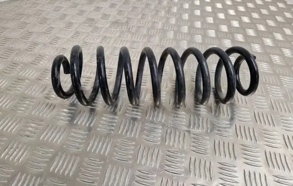 Toyota RAV 4 (XA50) Rear coil spring