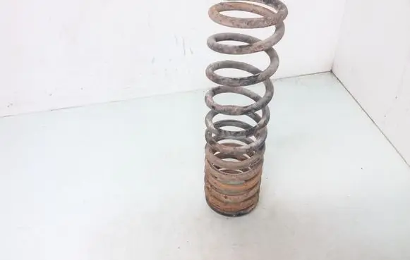 Ford Focus Rear coil spring