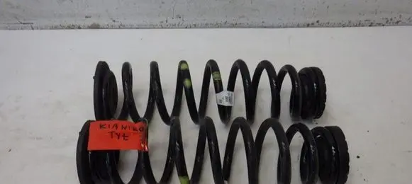 KIA Niro Rear coil spring 55350-Q4000