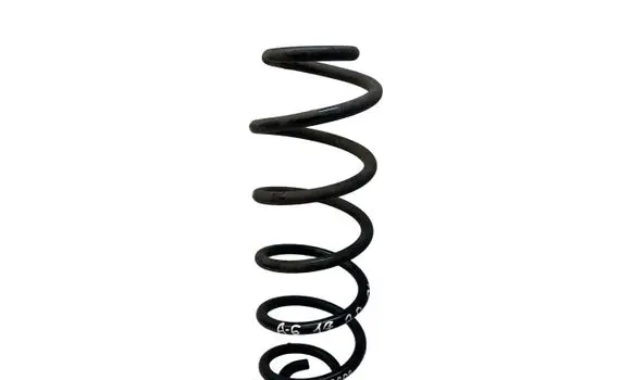 Rear coil spring