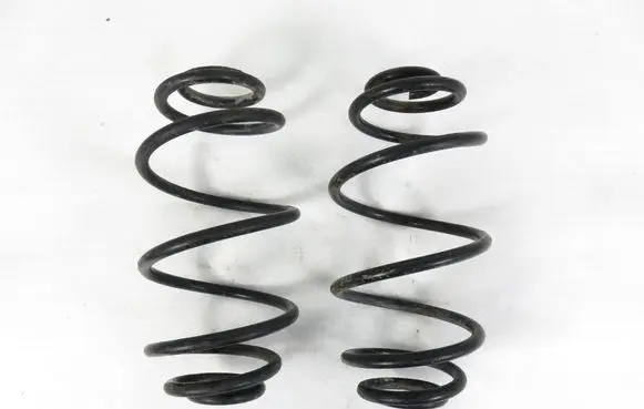 Rear coil spring