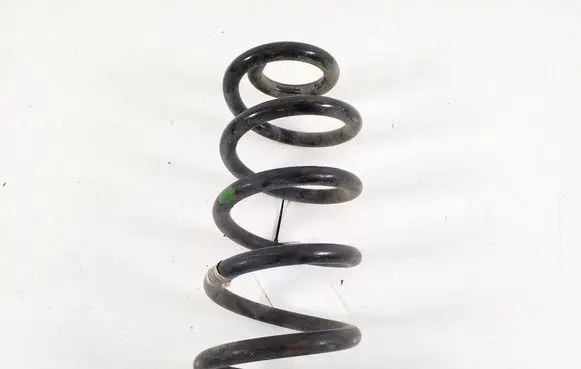 Rear coil spring