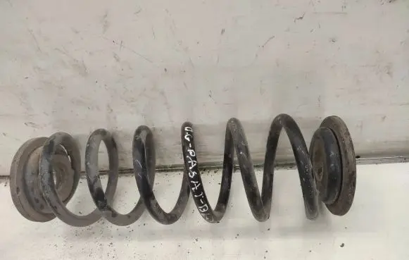 Volkswagen PASSAT B6 Rear coil spring