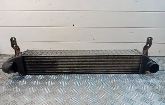 Volkswagen Sharan Intercooler radiator 7M3145805
