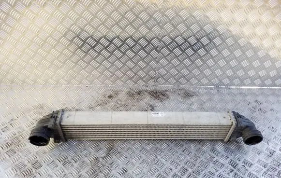 Mercedes-Benz A W169 Intercooler radiator A1695000000
