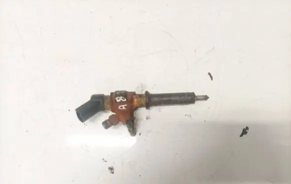 Peugeot Partner Fuel injector