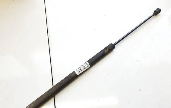 Tailgate/trunk strut/damper