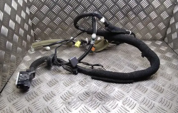 Nissan Leaf I (ZE0) Front door wiring loom 241243NA1A