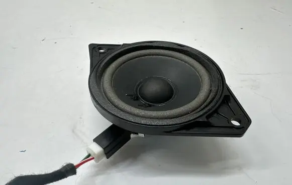Smart #1 Headliner speaker P8891071523
