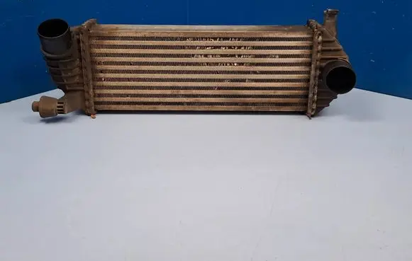Renault Kangoo II Intercooler radiator 8200427469 0423835