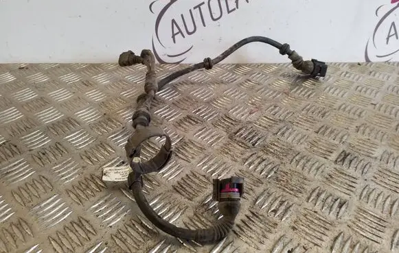 Porsche Cayenne (92A) Rear ABS sensor wiring 7P0971279B F560500 27032012