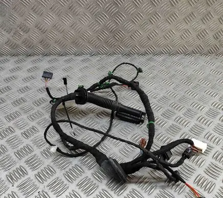 Audi E-tron GT Rear door wiring loom 4J3971687G