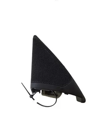Front door high frequency speaker