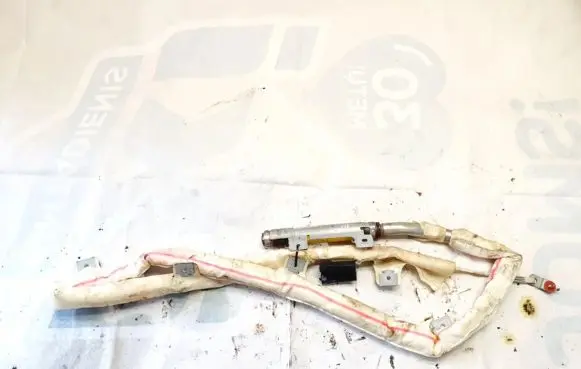 Hyundai Sonata Roof airbag