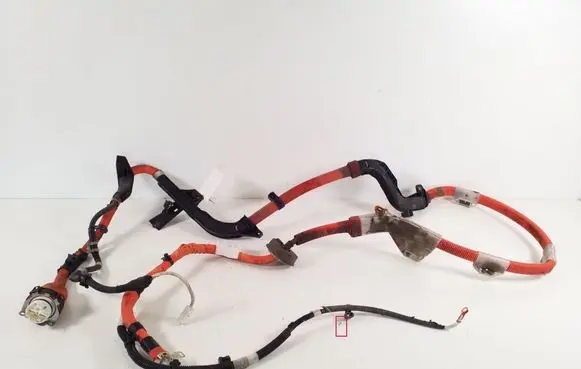 Lexus CT 200H Other wiring loom 8216476050
