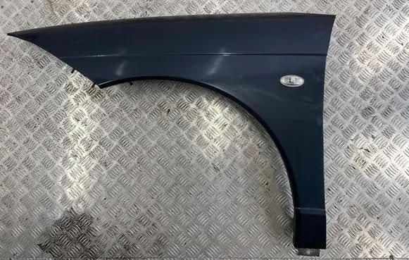 Citroen C6 Fender