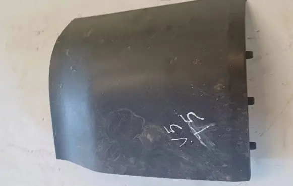 Rear/tail light trim molding