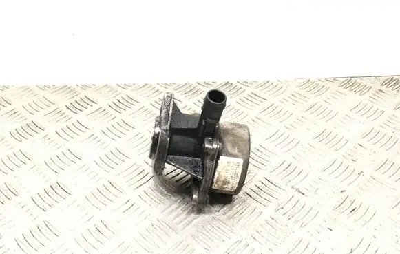 Renault Kangoo I Vacuum pump 7223891205 04T2841751 8200327149