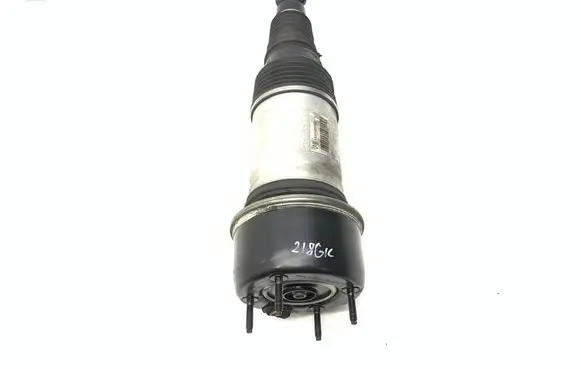 Jaguar XJ X351 Rear shock absorber/damper H428W001