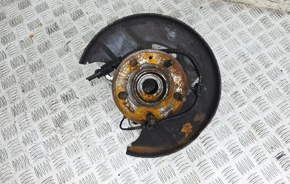 Opel Insignia A Front wheel hub 22821303