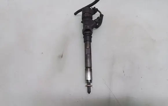 Peugeot 607 Fuel injector 0445110036