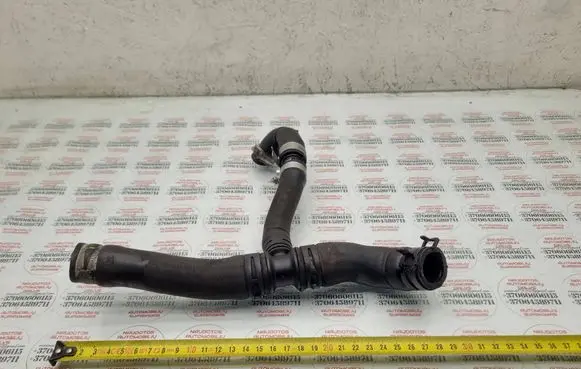 Volkswagen PASSAT B5 Engine coolant pipe/hose