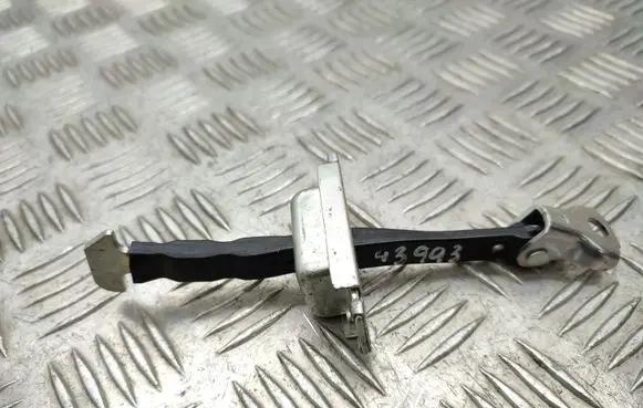 Rear door check strap stopper