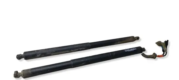 BMW X1 F48 F49 Tailgate/trunk strut/damper 17893910