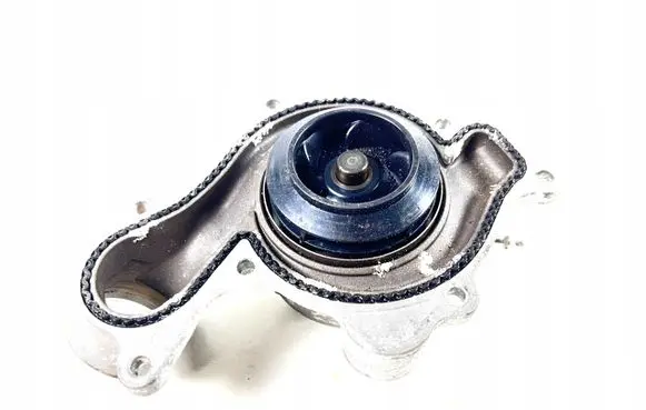 Porsche Cayenne (9Y0 9Y3) Water pump 06M121013