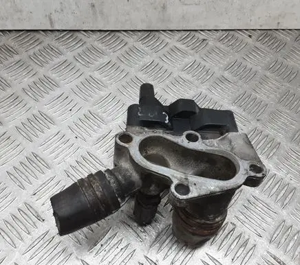 Thermostat/thermostat housing