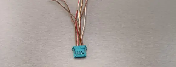 Tail light bulb cover holder
