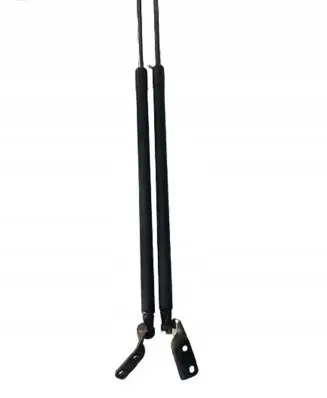 Nissan Note (E11) Tailgate/trunk strut/damper 904509U00A