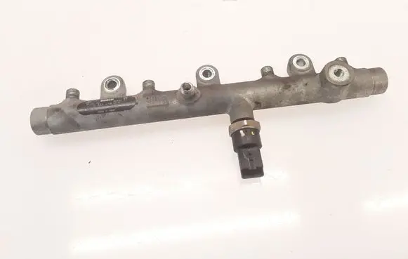 Citroen C5 Fuel main line pipe 0445214019