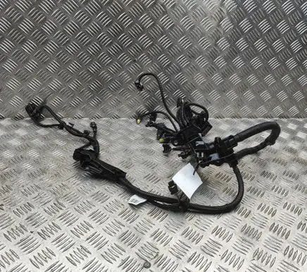 Engine installation wiring loom