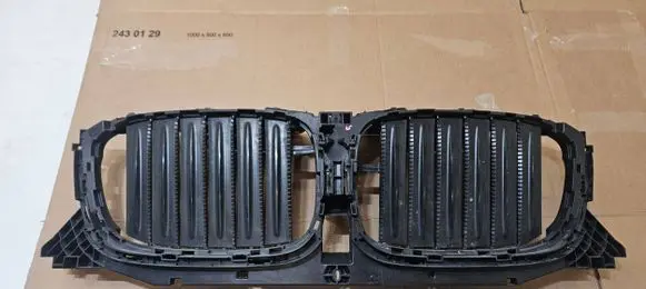 BMW X3 G01 Front grill C67335-10