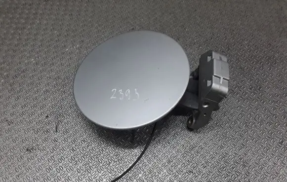 KIA Carens II Fuel tank cap 695101D000