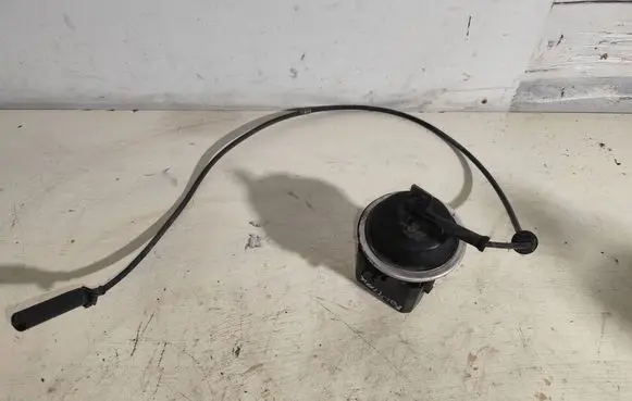 Pontiac Trans Sport Cruise control unit/module 25110834 1799401