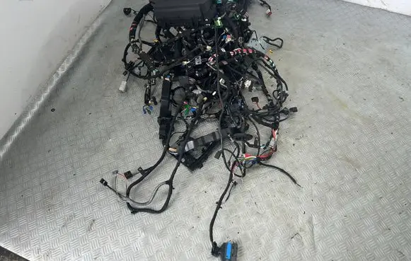 Land Rover Range Rover Velar Wiring harness 