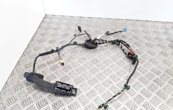Volkswagen Touran III Front door wiring loom 5TB971120CT