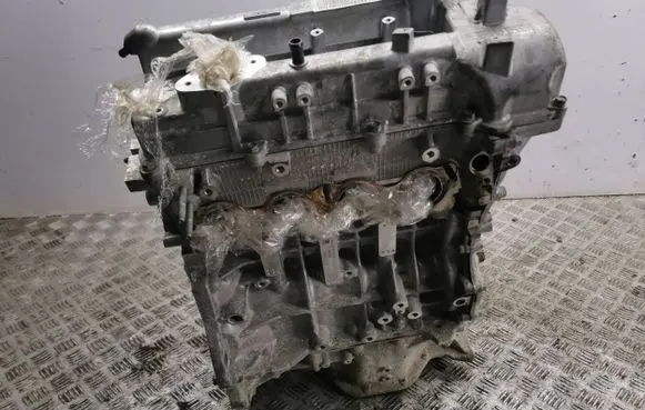 Hyundai Ioniq Engine G4LE