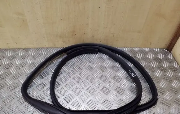 KIA Rio Front door rubber seal