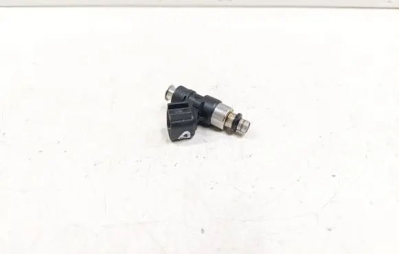 Ford Mustang V Fuel injector 0280158191 B556V