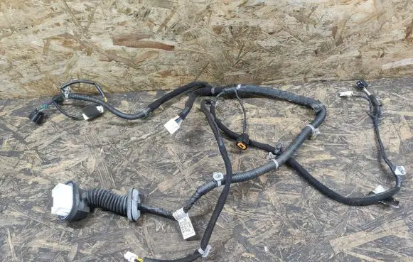 Hyundai Santa Fe Front door wiring loom 9182026022