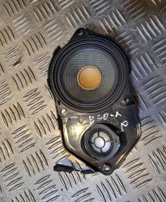 BMW X5 E70 Front door speaker 9188330