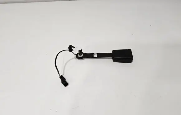 Ford F150 Rear seatbelt buckle