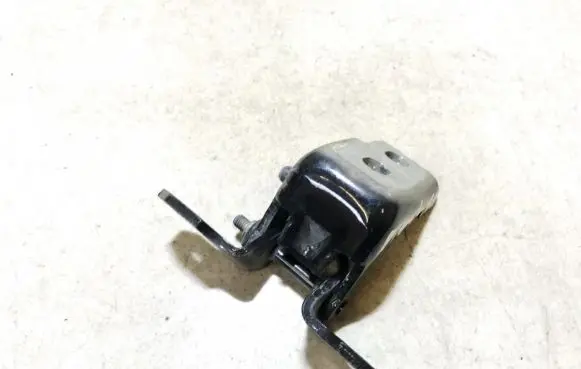 Renault Megane III Rear door lower hinge