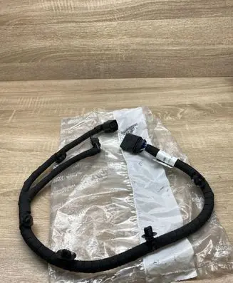 Citroen C4 III e-C4 Other wiring loom 9841384880 98413848
