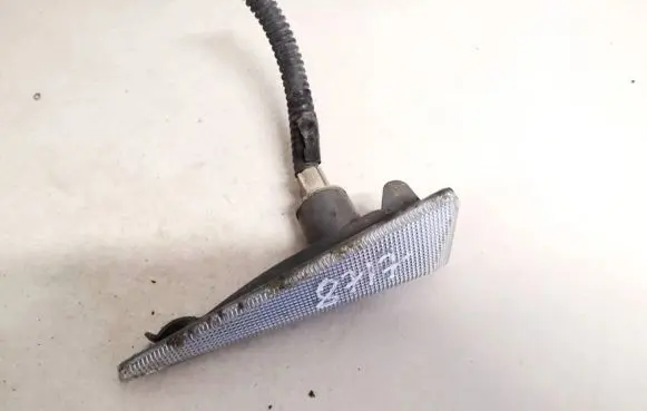 Front fender indicator light