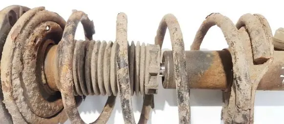 Peugeot 206 Front coil spring